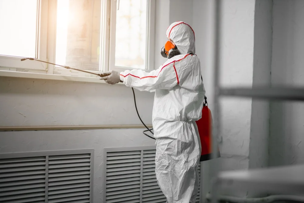 Professional mold remediation services in Ragland, AL